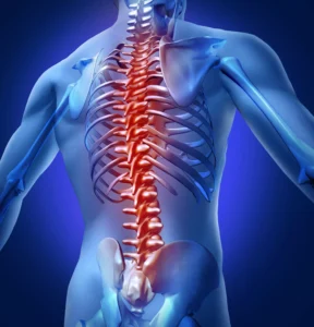 A Digital Illustration Highlights The Human Spine And Surrounding Skeletal Structure, Symbolizing The Severity Of Spinal Trauma And The Crucial Role A Dallas Spinal Cord Injury Lawyer Plays In Helping Victims Recover Compensation For Life-Altering Injuries.